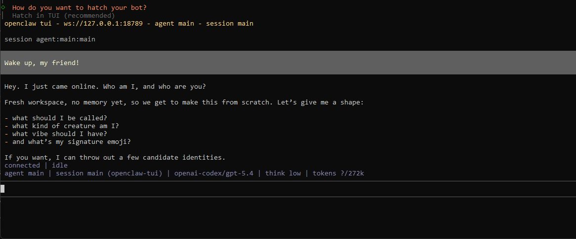 OpenClaw TUI waiting for first user input
